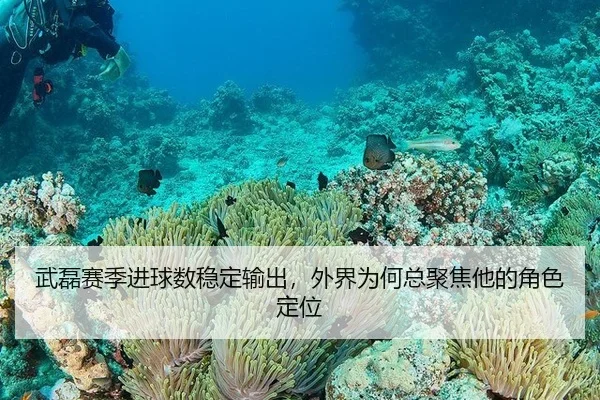 武磊赛季进球数稳定输出，外界为何总聚焦他的角色定位（hth）